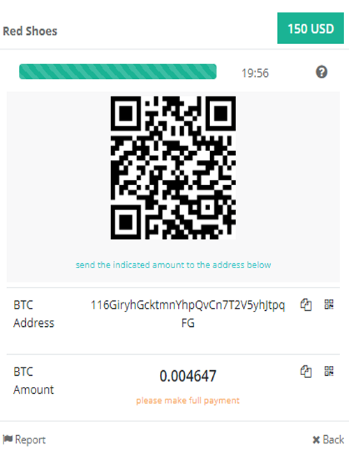 accept bitcoin payment